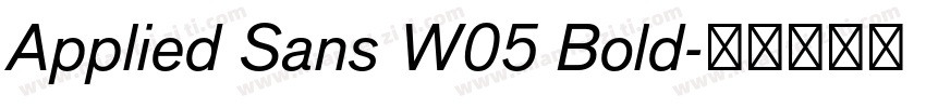 Applied Sans W05 Bold字体转换
